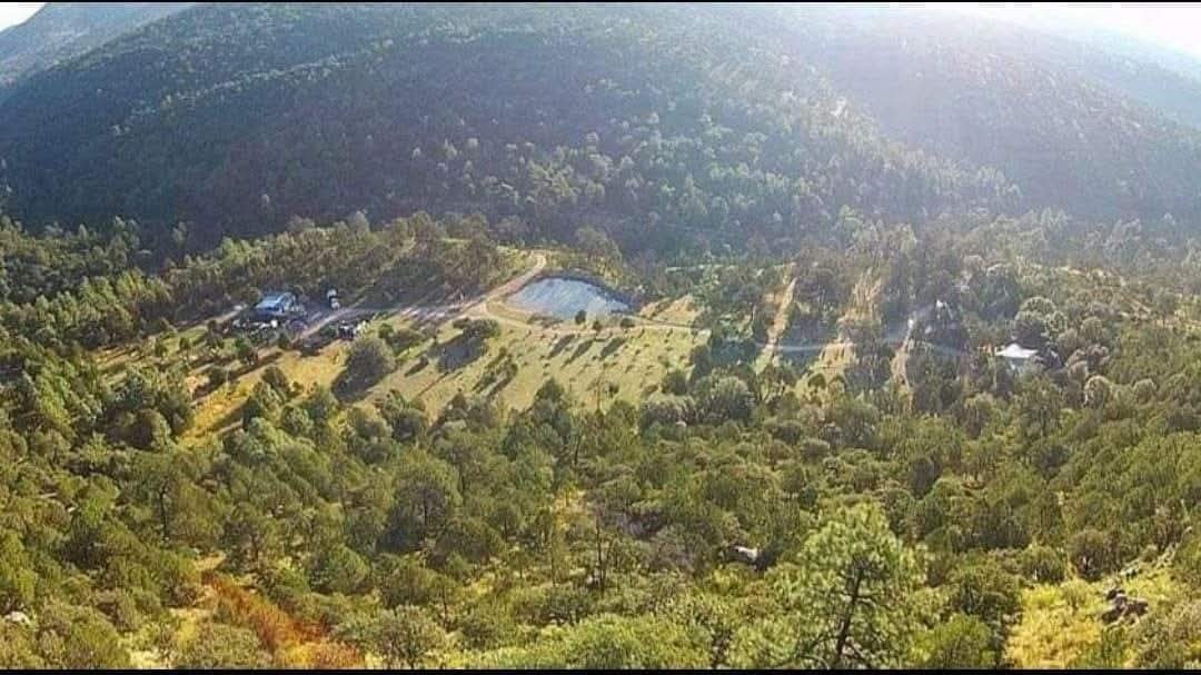 Bosques de Montesión