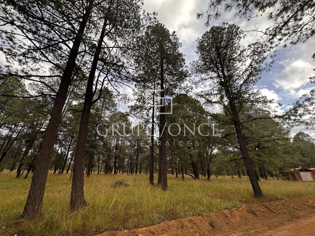 Providencia Ecoparque