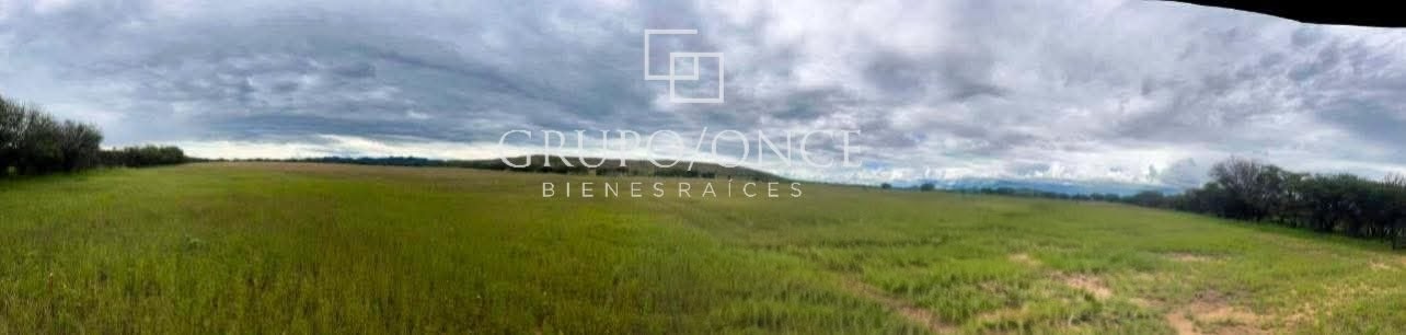 Raíces de Nombre de Dios