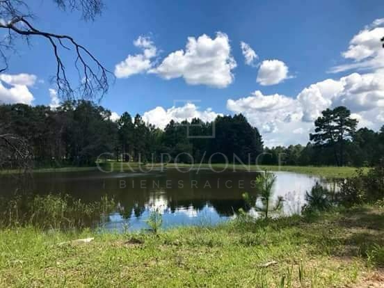Providencia Eco- park Adventure