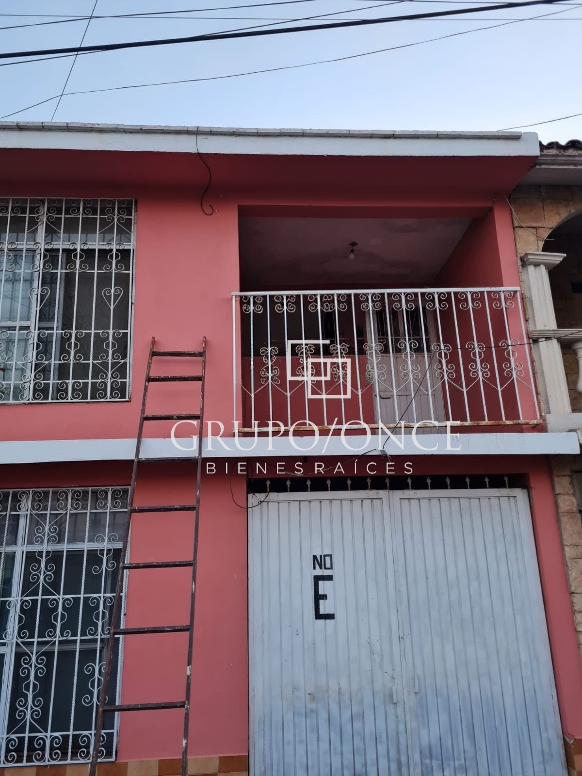 Huizache 1