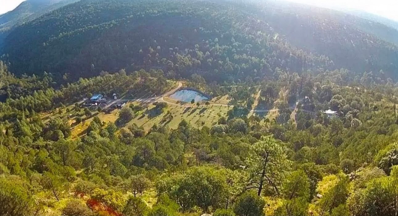Bosques de Montesión