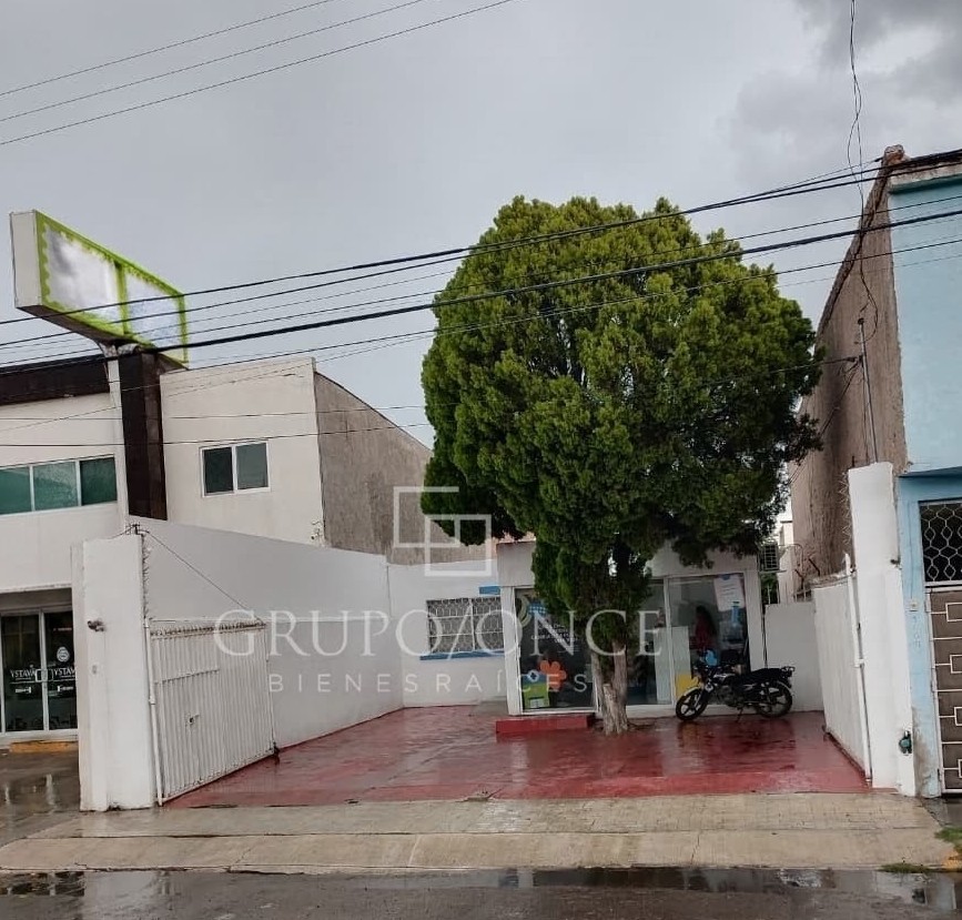 Colonia Guillermina
